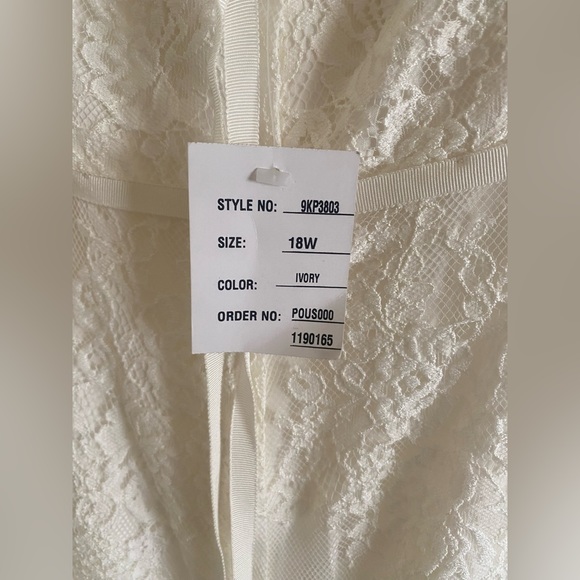 Plus Size Wedding Dress - Galina (unaltered) - Picture 4 of 6